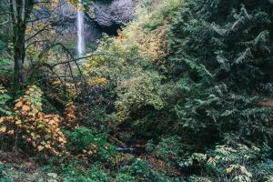 Multnomah Falls & Columbia River Gorge Waterfalls Tour