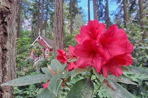 Portland Downtown Walking Tour