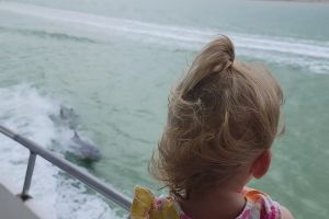 South Padre Island Dolphin Watch Eco Tour