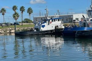 Port Brownsville Half-Day Boat Tour