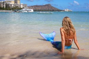 Mermaid Snorkel Adventure in Honolulu