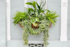 Storied Charleston Walking Tour