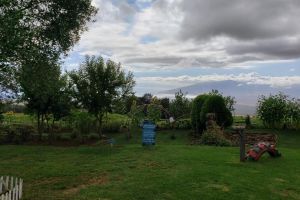 Maui Exclusive Road to Hana Adventure