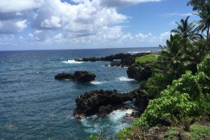 Maui Road to Hana Adventure Tour