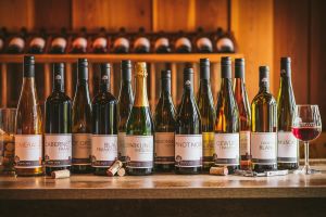Traverse City Wine Tour