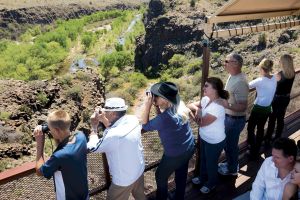 Verde Canyon Railroad Adventure Package