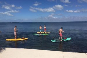 Key Largo Kayak & Paddle Board Rental