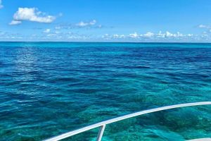 Key Largo Coral Reef Snorkel Adventure