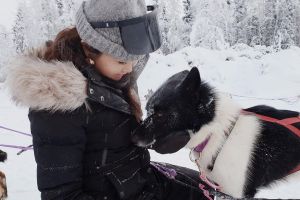 Alaskan Dog Sledding Adventure