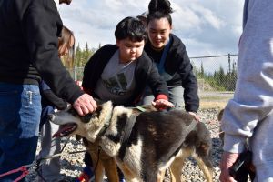 Fairbanks Sled Dog Adventure with Campfire & S'mores