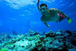 Key West Sail and Snorkel Adventure