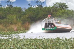 Miami Everglades Airboat & Bay Cruise Combo