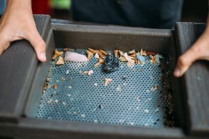 Florida Everglades Airboat Adventure