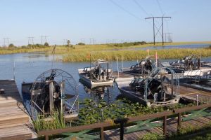 Florida Everglades Night Airboat Tour
