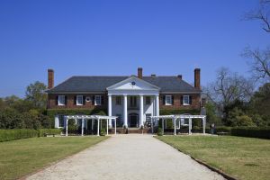 Boone Hall Plantation Tour from Charleston