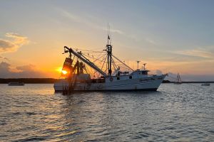 Hilton Head Shrimp Trawling Boat Cruise
