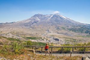 Mt. St. Helens Volcano Tour from Seattle