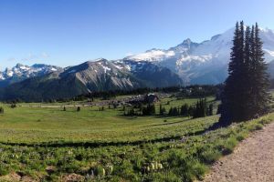 Mount Rainier Hiking Adventure