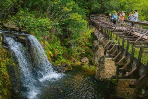 Private Kohala Waterfalls Adventure