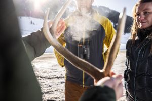 Jackson Hole Wildlife Adventure Tour