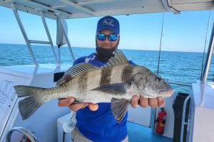 Naples Calm Bay Fishing Excursion