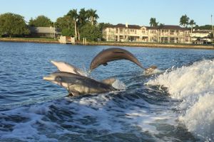 Naples Sightseeing Day Cruise