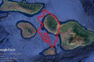 Maui Whale Watching Private Air Tour