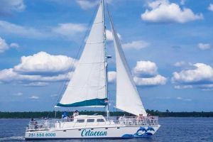 Orange Beach Dolphin Sailing Cruise aboard Catamaran