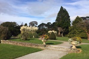 Shore excursion from Glengariff to Killarney National Park