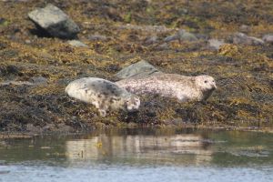 The Valentia Island Experience