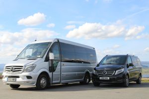 Full Day Private Luxury Tour of Causeway Coast (Giants Causeway)