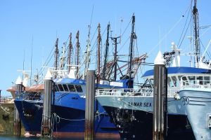 Port Lincoln Day Tour: Tasting Eyre