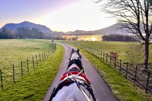 Killarney National Park Horse-Drawn Carriage Tour