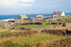 Aran Island, Cliffs of Moher & Cruise tour from Galway. Guided.