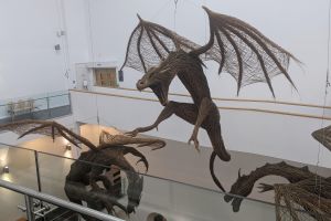 A Unique Belfast Walking Experience