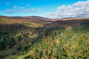 Dublin Wild Wicklow Mountains and Glendalough Shore Excursion