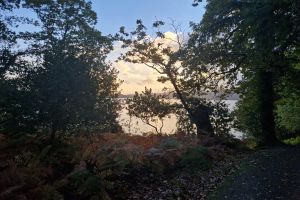 Muckross House and Gardens, Killarney - Scenic Tour (Minimum 4 People - 1 way).