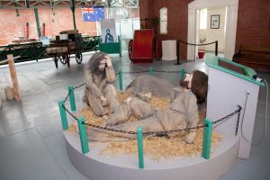  The Queenstown Story @ Cobh Heritage Centre , Great Stories of Emigration.