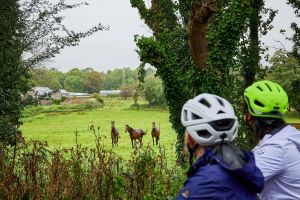Explore Midleton Youghal Greenway by Bike