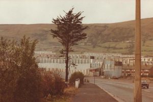 2 Hour Terror and Mural History Belfast taxi Private Tour 