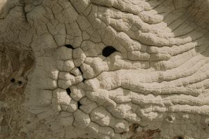 White Pocket Adventure Tour