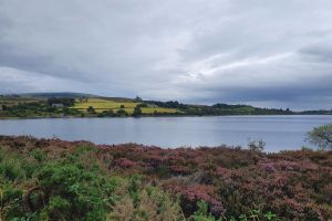 City Highlights Small-Group Tour