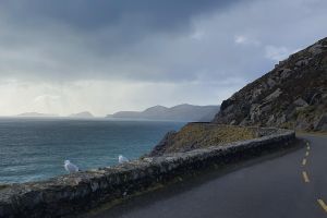 Private Chauffeur Service From Killarney to Shannon Airport 