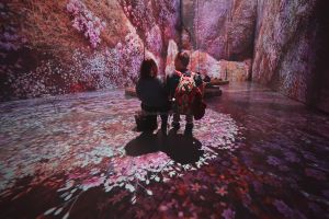 Official Mercer Labs Maestros and the Machines Ticket