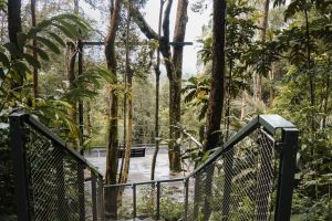 THE HABITAT PENANG HILL