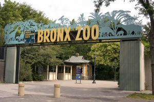 Bronx Zoo: Entry Ticket