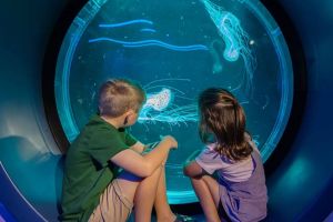 SEA LIFE Kelly Tarlton's Aquarium