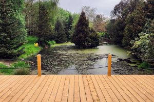 Scenic Restorative Yoga in County Down