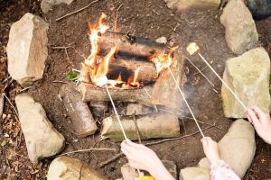 Muddy Tots Go Wild Forest School