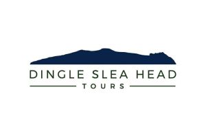 Dingle to Kerry Airport Private Transfer